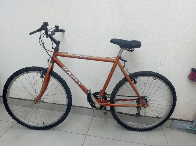 Bicicleta revisada