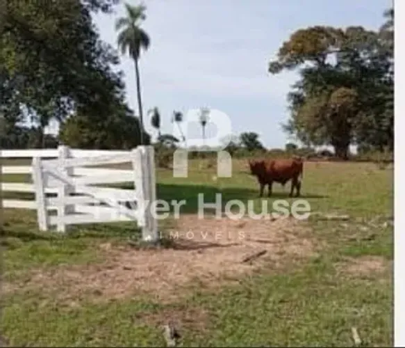 Fazenda para Pecuaria à Venda, localizada em Pirizal, Nossa Senhora do Livramento , MT