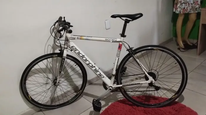 Bicicleta Andorinha Gonew Fast 10 Aro 700 - Ótimo Estado