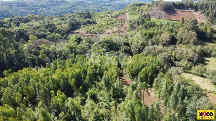 SÍTIO / CHÁCARA PARA VENDA EM NOVA PETRÓPOLIS / RS NO BAIRRO TREZE COLÔNIAS
