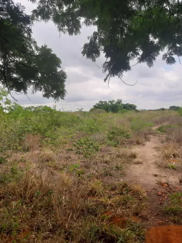Estado Pernambuco EXU .Sitio 12 M².4 Tarefas todo plano,cozinha sala quarto banheiro