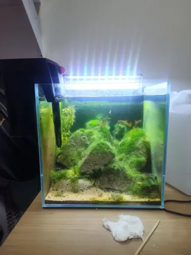 Aquário Cubo Completo (Luminária LED + Filtro Hang-On + Rochas Naturais)