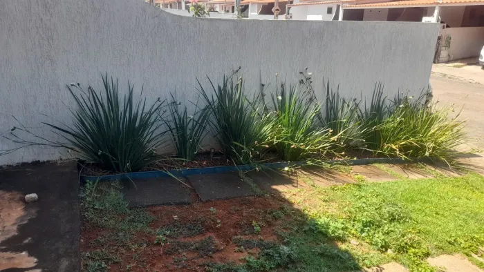 Doação de moréias