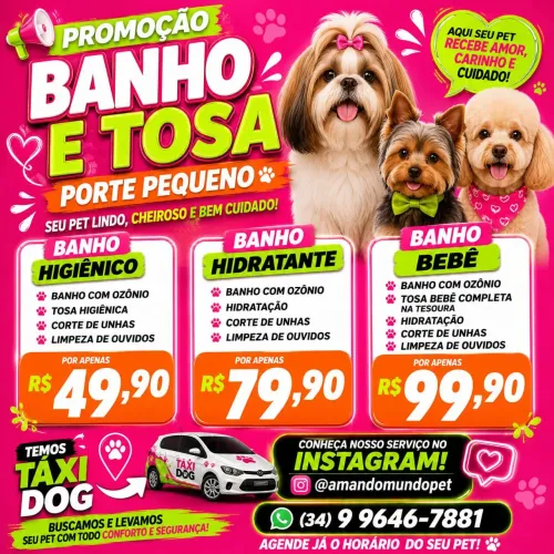 Banho e tosa com táxi dog 