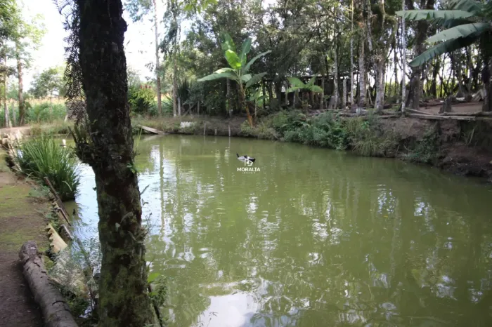 Chácara à venda - Campestre da Faxina