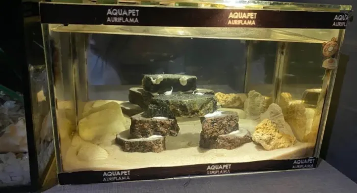 Aquário 4,88 litros