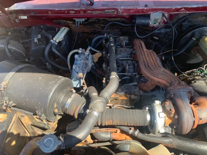 Ford F-1000 Super Diesel / Super Diesel Turbo 1995