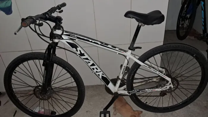 Bicicleta aro 29