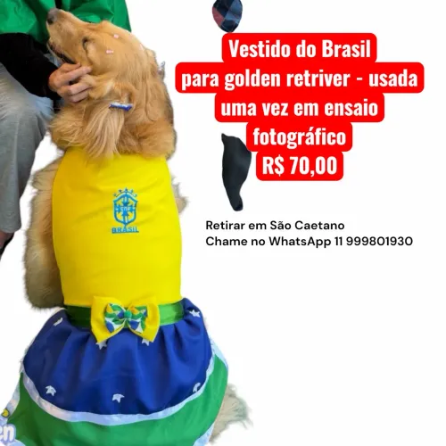 Vestido do Brasil cachorro grande 