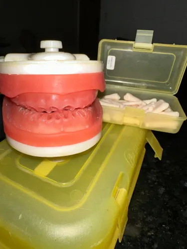 Manequim Odontologia