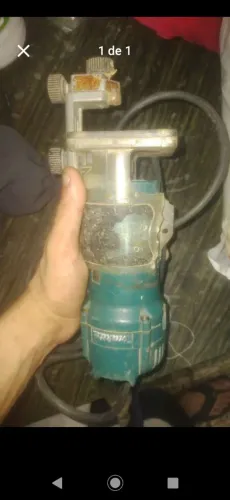 Tupia