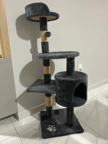 Playground pra gatos