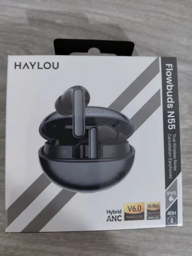 Haylou Flowbuds N55