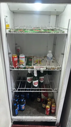 Freezer Brahma