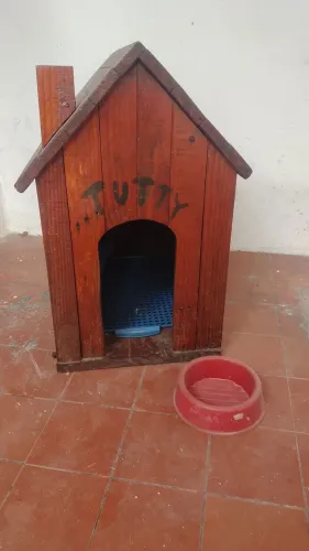 Casinha de cachorro ? madeira invernizada