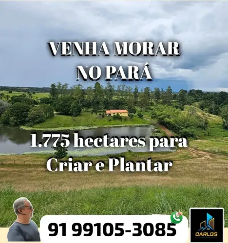 Fazenda para venda com 1.775 hectares, com dupla aptidão - Ipixuna do Pará - PA