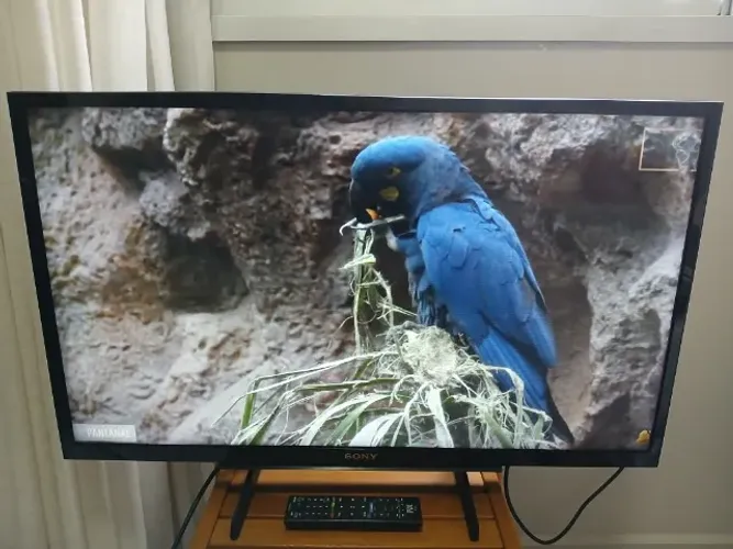 TV SONY 32 POLEGADAS TELA DE LED HD