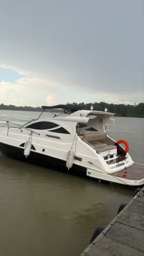 Lancha Phoenix 29 pés 