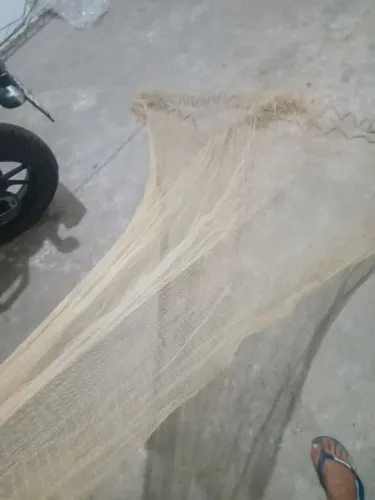 tarafa para camarao