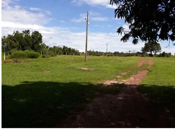 Fazenda / Sítio / Chácara em Plano Diretor Sul - Palmas