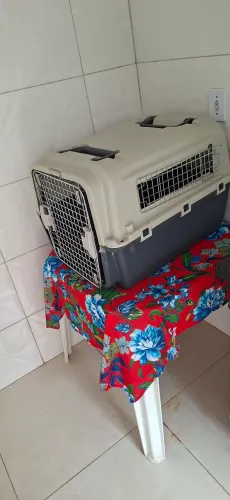 Caixa De Transporte Pets Viagem Padrão Internacional Aviação