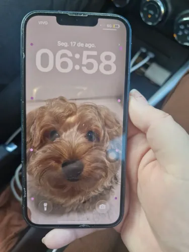 IPhone 14 128gb