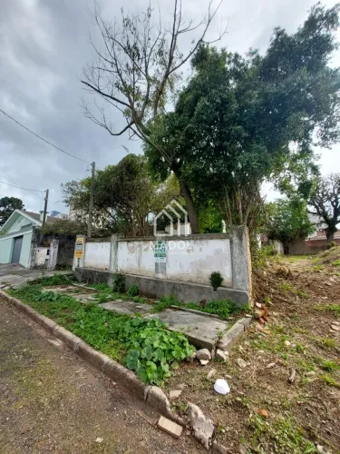 TERRENO NO CENTRO 15x28m