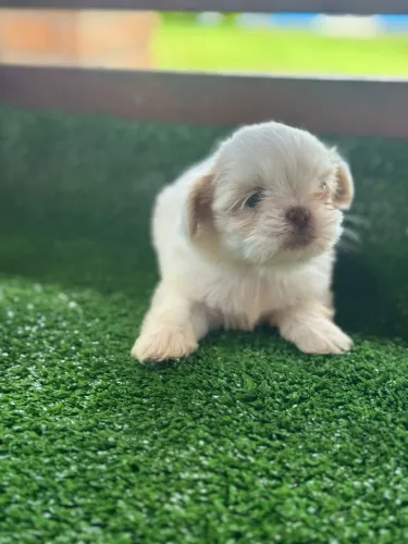 Muito amor envolvido em cada detalhe dessa criação