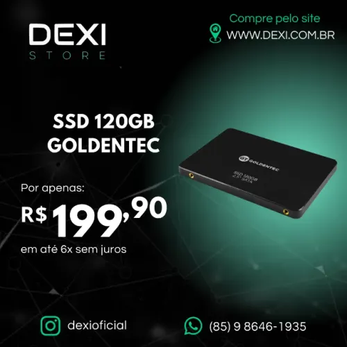 SSG 120GB GOLDENTEC
