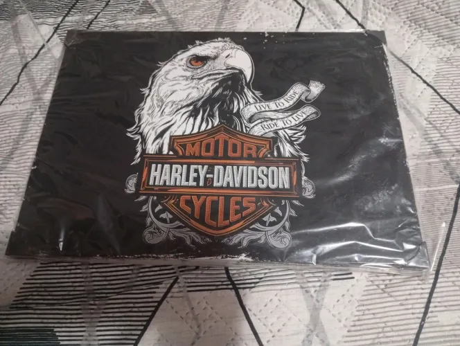 Quadro a Harley Davidson 