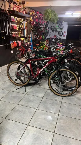 Bike Aro 29 - Quadro XL - Shimano 1x12
