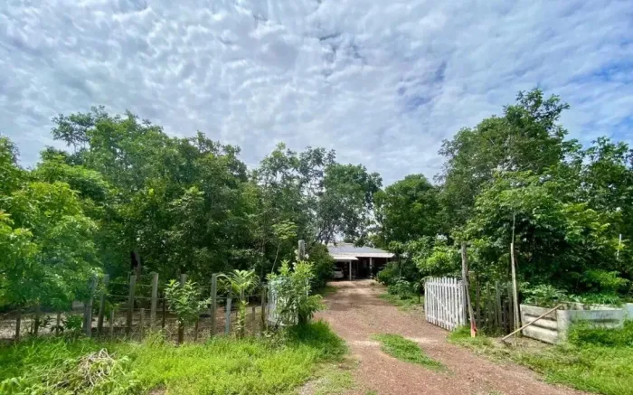 Chácara para venda, 4 quarto(s), área Rural De Cuiabá, Cuiabá