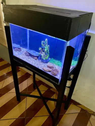 Aquário grande completo