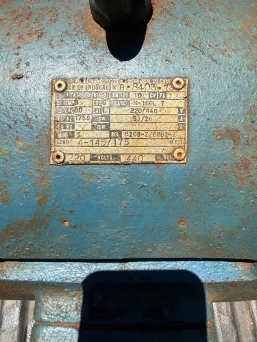 Motor búfalo 10 cv