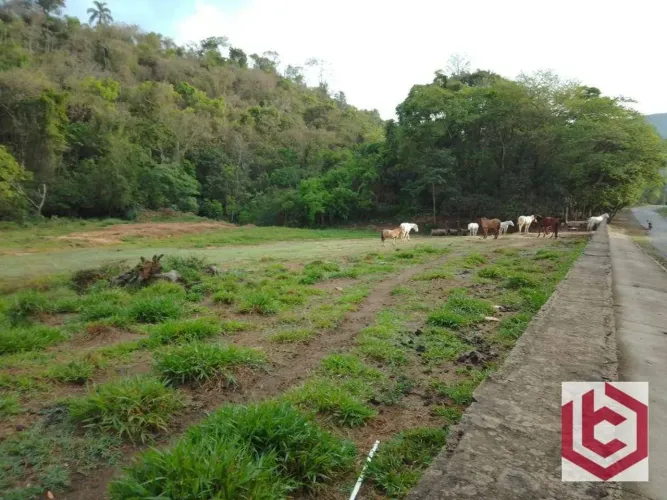 Terreno à venda, 65000 m² por R$ 3.800.000,00 - Mirante das Estancias - Águas de Lindóia/S