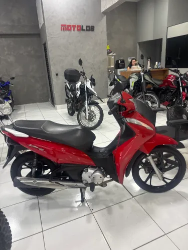 Biz ex 2024/2024
