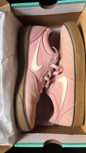 Tênis Nike Sb 