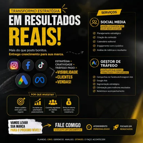 Social Media/ Gestor de Tráfego 