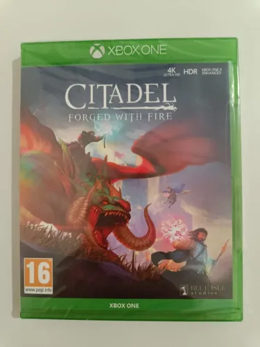 Citadel: Forged with Fire Xbox One Jogo Lacrado Mídia Física 