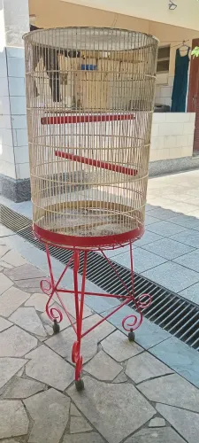Gaiola de ferro