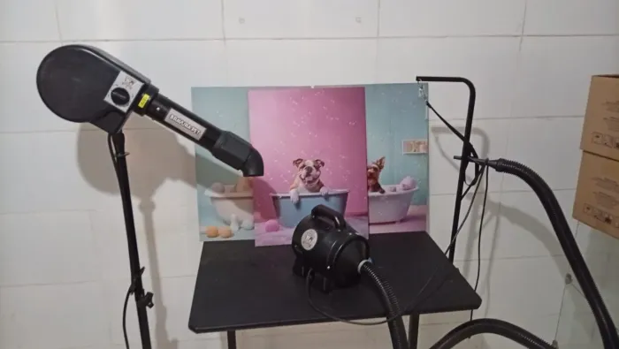 Fundo de Banho e Tosa completo