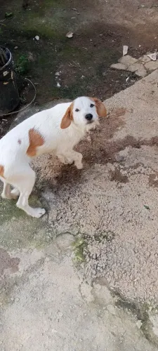 Doação 