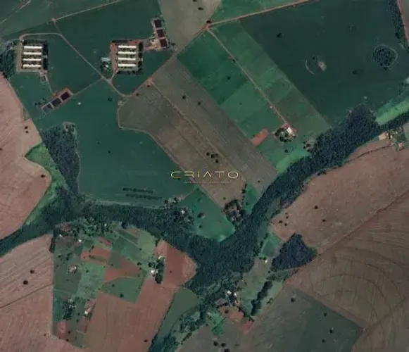 Chácara Produtiva à Venda em Rio Verde