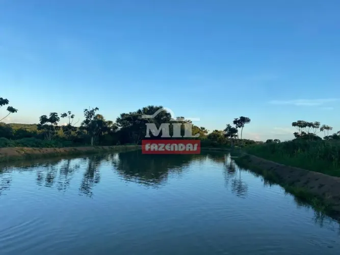 Chacara 4,3 hectares Hidrolandia - GO