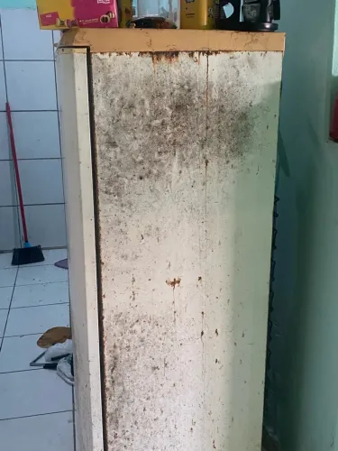 Geladeira 50 reais