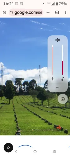 Cemitério, são José dos Pinhais 