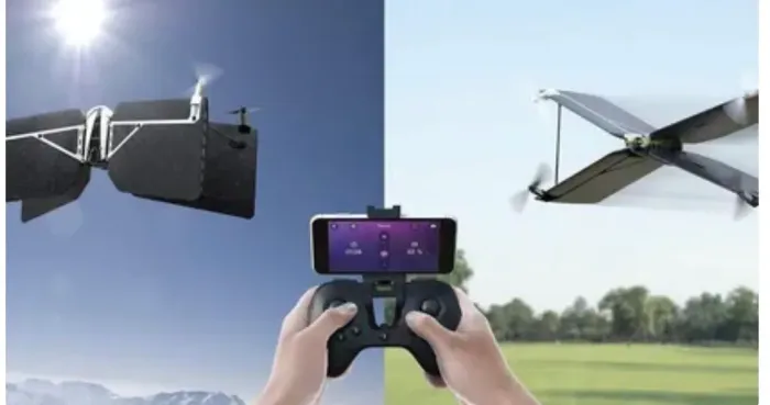 Drone Parrot swing