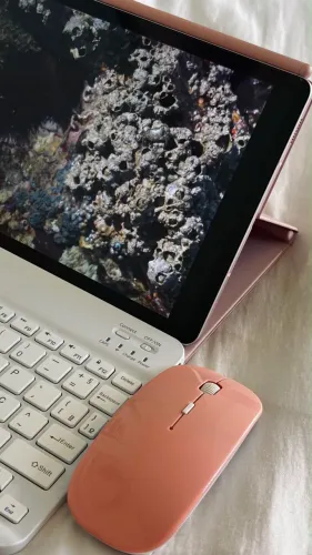 Tablet s6 lite Samsung