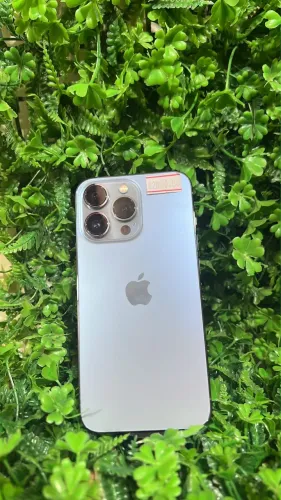 13 pro 