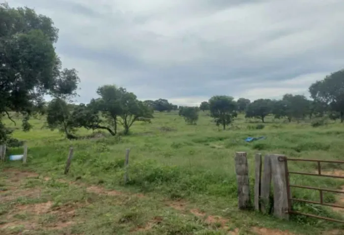 ÁREA TERRAS/ ÁREA PASTAGENS/ Disponível Arrendamento